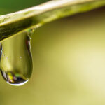 【エシカル消費もの選び】スキンケア メーカー編 ：ネイチャーズフォー（株式会社ネオナチュラル）